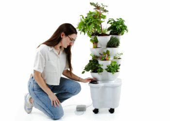 Clovy, l’orto verticale IoT che insegna a coltivare a casa e accedere a cibo sano