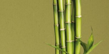 Sviluppo sostenibile, l’impegno di 46 giovani ricercatori di Milano-Bicocca per l’Agenda dell’Onu 2030