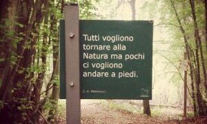 COP28, NON POSSIAMO NEGOZIARE CON LA NATURA (articolo di Ferdinando Cotugno)