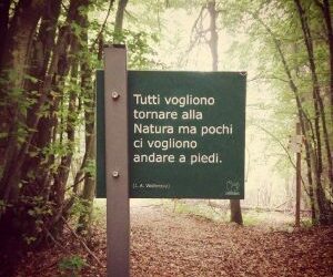 COP28, NON POSSIAMO NEGOZIARE CON LA NATURA (articolo di Ferdinando Cotugno)