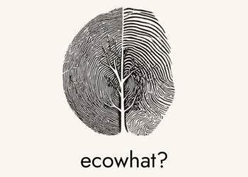 #ecowhat? Arte con materiali di riuso, sensibilità ambientale, imprenditoria sostenibile, esposizioni artistiche, performance e interviste