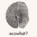 #ecowhat? Arte con materiali di riuso, sensibilità ambientale, imprenditoria sostenibile, esposizioni artistiche, performance e interviste