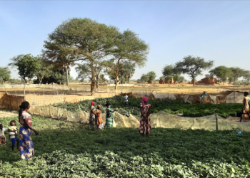 Associazioni e ONG italiane lanciano una sfida per il cambiamento agroecologico con il progetto CHAlleNGE