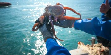 La Divisione Subacquea di Marevivo in azione a Civitavecchia: rimossa rete fantasma lunga oltre 200 metri