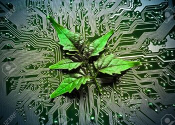 La digitalizzazione del settore marittimo: sfide e opportunità con la Commissione ONTM per la Cybersicurezza