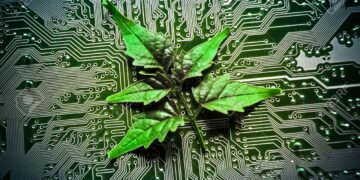 La digitalizzazione del settore marittimo: sfide e opportunità con la Commissione ONTM per la Cybersicurezza