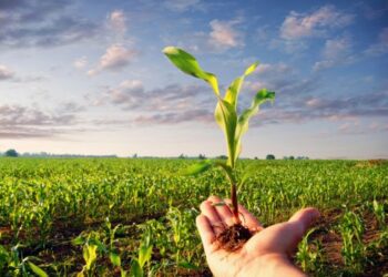 Perchè in Europa dilagano le proteste degli agricoltori per un reale Green Deal?