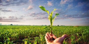 Perchè in Europa dilagano le proteste degli agricoltori per un reale Green Deal?