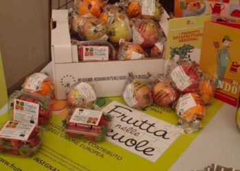 Il Ministro Lollobrigida ignora la richiesta di abolire gli imballaggi di plastica monouso nel Programma “Frutta e verdura nelle scuole”