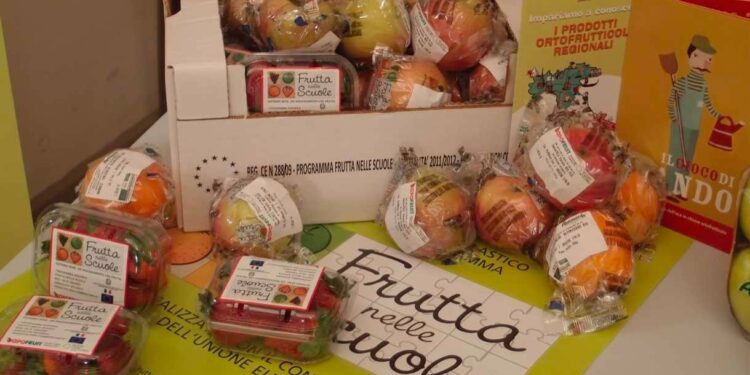 Il Ministro Lollobrigida ignora la richiesta di abolire gli imballaggi di plastica monouso nel Programma “Frutta e verdura nelle scuole”