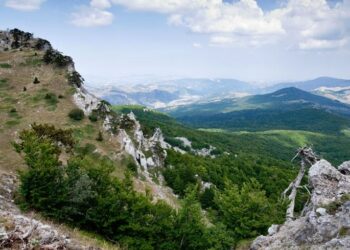 Ambiente e Territorio, un dialogo aperto fra due parchi della Calabria: Sila e Pollino