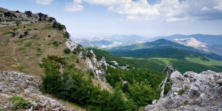 Ambiente e Territorio, un dialogo aperto fra due parchi della Calabria: Sila e Pollino