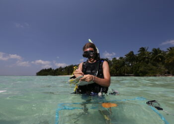 Coralli giganti, ultima frontiera per salvare gli oceani con “Map the Giants” dell’Università di Milano-Bicocca