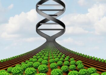 Traiettorie bio-based e sostenibili per i comparti alimentare e farmaceutico – Aula Mergellina Villa Doria D’Angri, Napoli