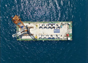 Dubai Coral Reef, il più grande progetto di sviluppo di barriere coralline al mondo