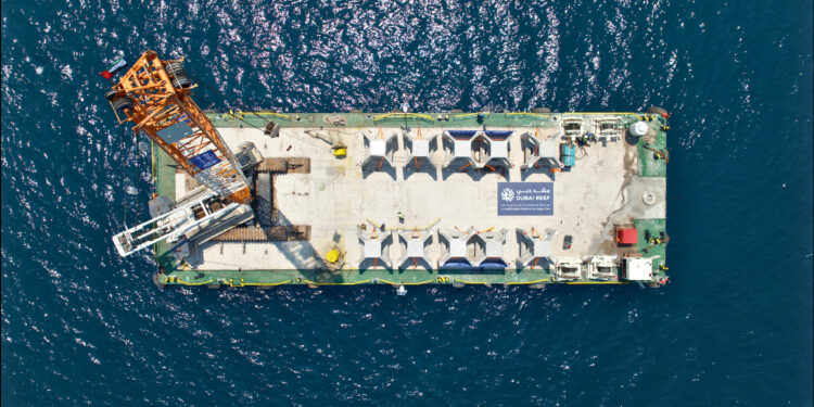 Dubai Coral Reef, il più grande progetto di sviluppo di barriere coralline al mondo