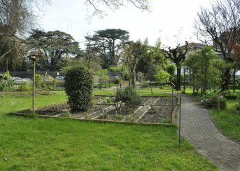 Torna il “Kids Day” dedicato a figlie e figli di tutta la comunità dell’Università di Ferrara a contatto con la natura