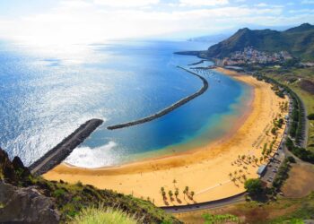 Tenerife Bootcamp Experience: “coltivare” la leadership nell’isola dell’eterna primavera dal 10 al 13 novembre 2024