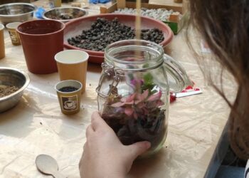 Riverberi, l’eco del cambiamento con il festival della sostenibilità e della consapevolezza – Milano, 16 giugno 2024