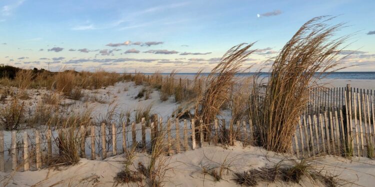 Vademecum C.I.TANGE e MAREVIVO con le applicazioni normative per una difesa attiva degli habitat naturali