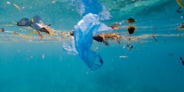 I risultati dell’indagine di Marevivo condotta da SWG: il mare sta male e gli italiani chiedono a politica e imprese di intervenire