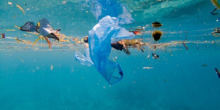 I risultati dell’indagine di Marevivo condotta da SWG: il mare sta male e gli italiani chiedono a politica e imprese di intervenire