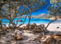 Un nuovo progetto per la protezione dell’ecosistema dunale della spiaggia di Capriccioli ad Arzachena in Sardegna