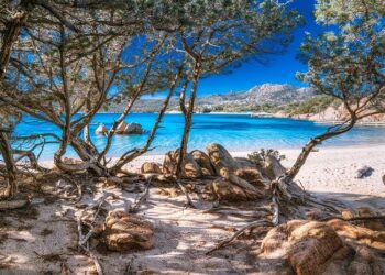 Un nuovo progetto per la protezione dell’ecosistema dunale della spiaggia di Capriccioli ad Arzachena in Sardegna