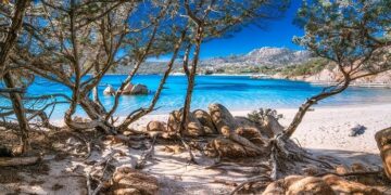 Un nuovo progetto per la protezione dell’ecosistema dunale della spiaggia di Capriccioli ad Arzachena in Sardegna