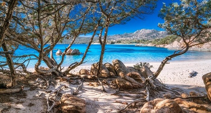 Un nuovo progetto per la protezione dell’ecosistema dunale della spiaggia di Capriccioli ad Arzachena in Sardegna