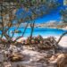 Un nuovo progetto per la protezione dell’ecosistema dunale della spiaggia di Capriccioli ad Arzachena in Sardegna