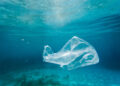 Come stanno i nostri oceani? Malissimo a causa dei rifiuti di plastica che nel 2050 saranno di più di tutti i pesci nel mare