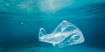 Come stanno i nostri oceani? Malissimo a causa dei rifiuti di plastica che nel 2050 saranno di più di tutti i pesci nel mare