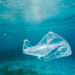 Come stanno i nostri oceani? Malissimo a causa dei rifiuti di plastica che nel 2050 saranno di più di tutti i pesci nel mare