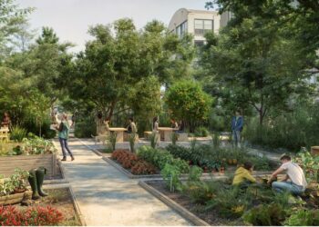 Milano Certosa District: rinascono i giardini condivisi di via Barrella con un’oasi verde entro il 2026