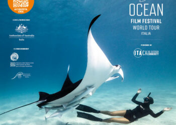 La magia degli oceani in città: il film di OCEAN Film Festival arrivano sul grande schermo