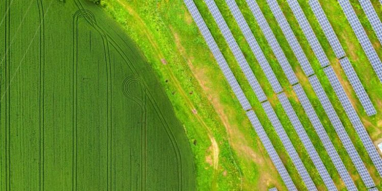 DDL Aree Idonee Puglia, Alleanza per il Fotovoltaico: “Bene il lavoro svolto. Insieme per migliorare alcuni aspetti chiave”
