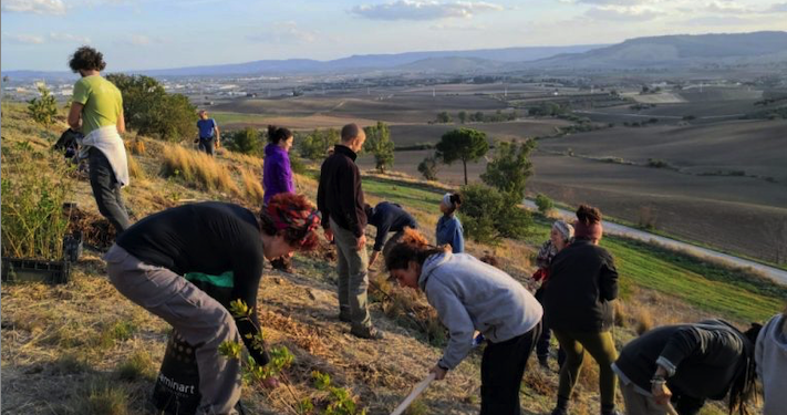 Progetto Challenge: mappate buone pratiche di transizione agroecologica in Italia e nel mondo