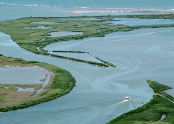 Protocollo d’intesa fra Parco Delta del Po – Emilia Romagna e Circoli Nautici per la promozione del turismo consapevole nel Parco