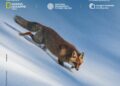 IL PAESE DELLA BIODIVERSITA’ – Il patrimonio naturale italiano – Mostra di National Geographic Italia e National Biodiversity Future Center (NBFC) in collaborazione con il CNR