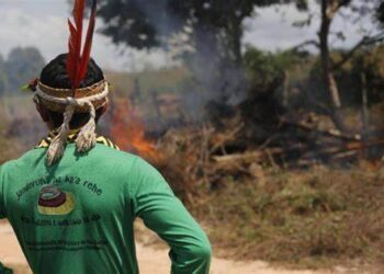 Incendi, Accuse e Violenza: la crisi dei popoli indigeni della Patagonia