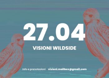 Angelo Consoli relatore a Brindisi per “VISIONI Wildside talk: Futuro Presente Sostenibile” – 27 aprile 2025
