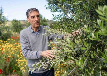 1° CONGRESSO DI AGROECOLOGIA DEL MEDITERRANEO: “Cooperazione e non competizione per un’economia di Pace”