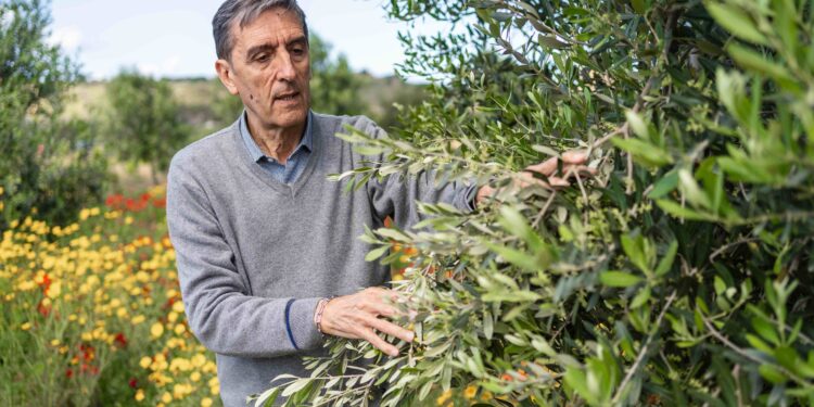 1° CONGRESSO DI AGROECOLOGIA DEL MEDITERRANEO: “Cooperazione e non competizione per un’economia di Pace”