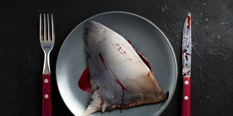 Premiere italiana di Shark Preyed, 100 milioni di squali vengono uccisi ogni anno