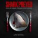 Premiere italiana di Shark Preyed, 100 milioni di squali vengono uccisi ogni anno
