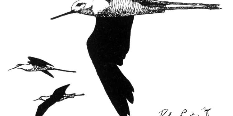 Nuova edizione del libro “I Cavalieri della Grande Laguna” – Un tributo a Fulco Pratesi, fondatore del WWF Italia