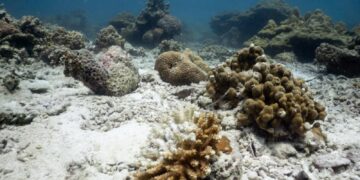 Marevivo, la biodiversità marina è la prima vittima dell’overtourism