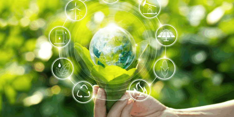 Master Sustainability Manager. Packaging sostenibile: normative, sviluppi e innovazioni (iscrizioni fino al 17 ottobre 2025)