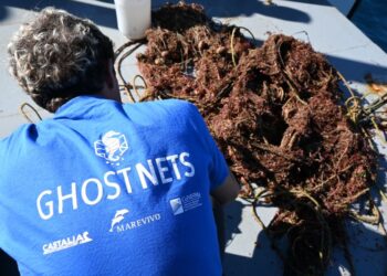 Successo del PNRR-MER “GHOSTNETS”: recuperate 11 tonnellate di attrezzi da pesca dai fondali italiani